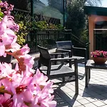 Apartman Ondina Nesso
